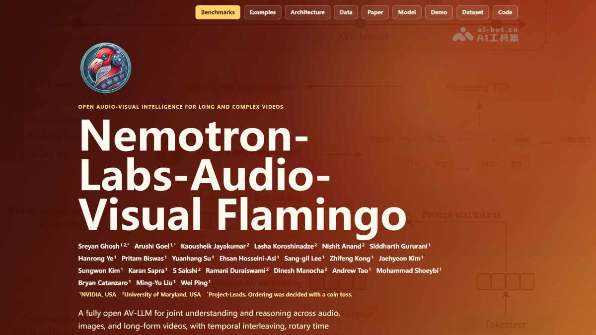 Audio-Visual Flamingo