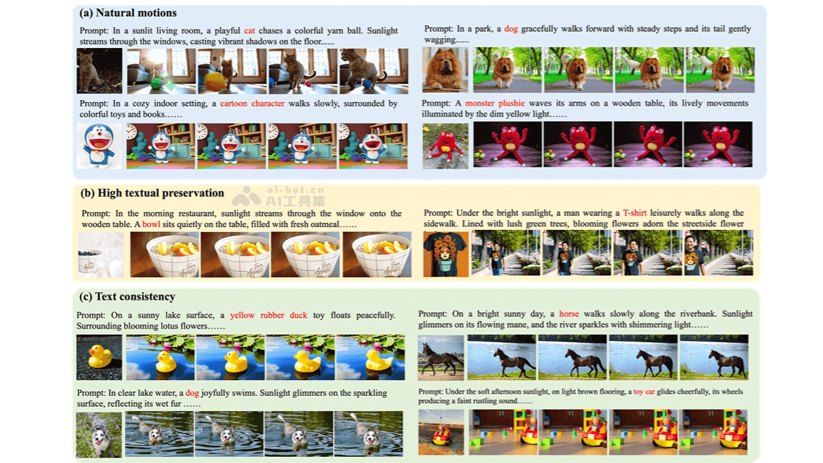 CustomVideoX