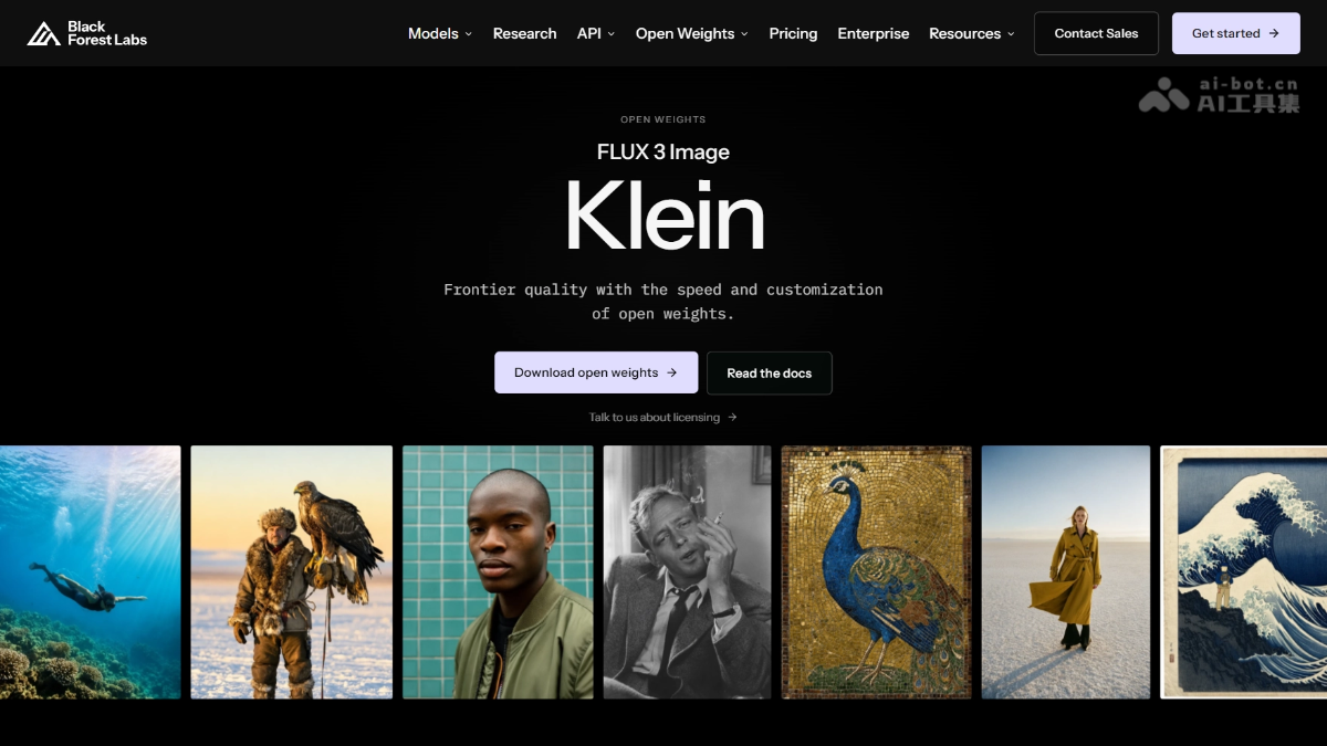 FLUX 3 Image Klein