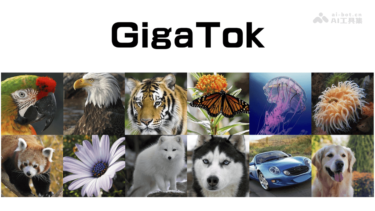 GigaTok