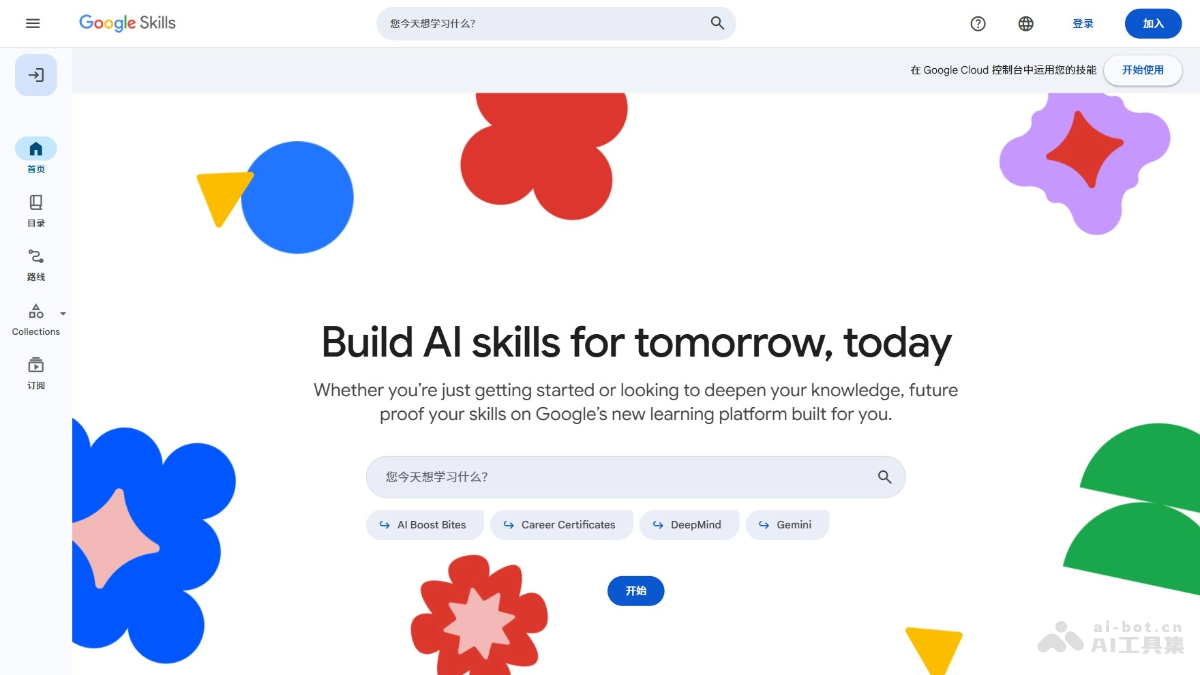 Google Skills