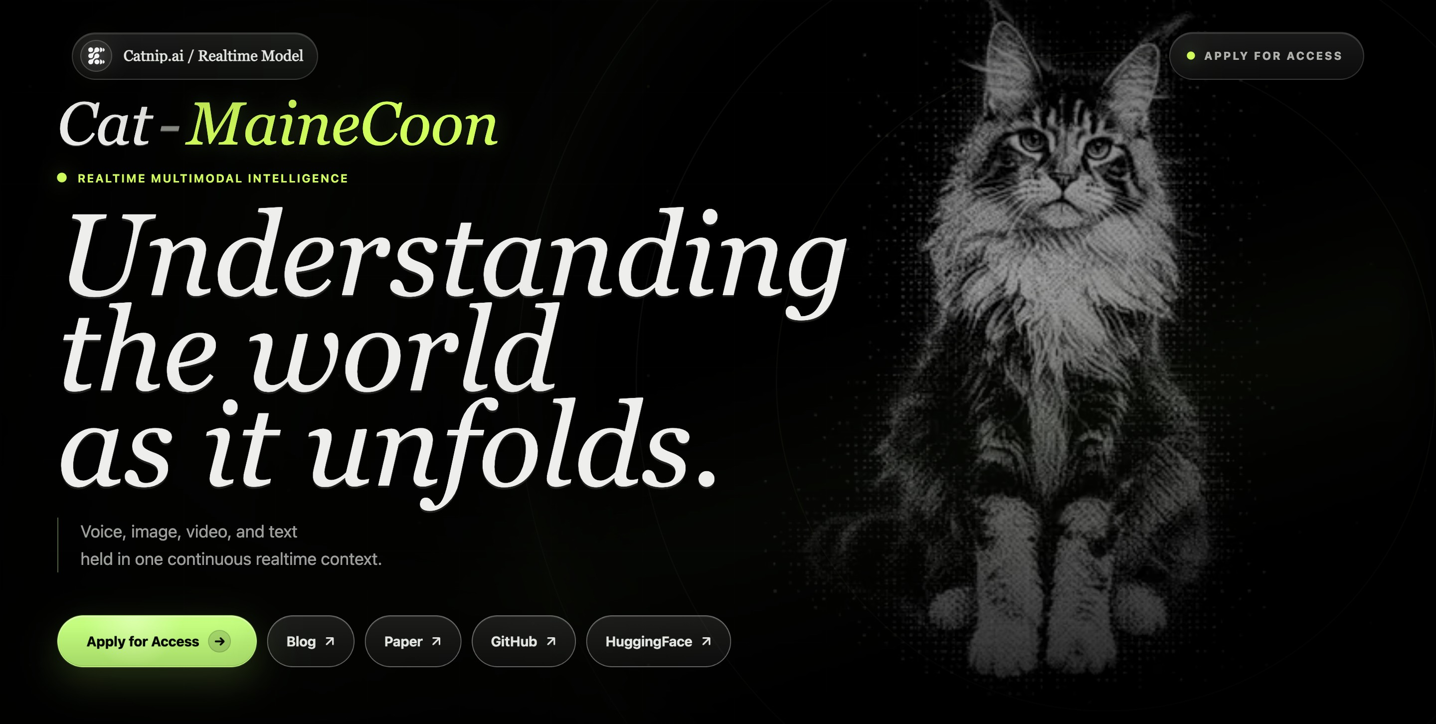 MaineCoon