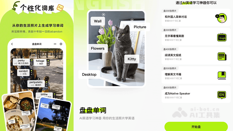 盘盘单词