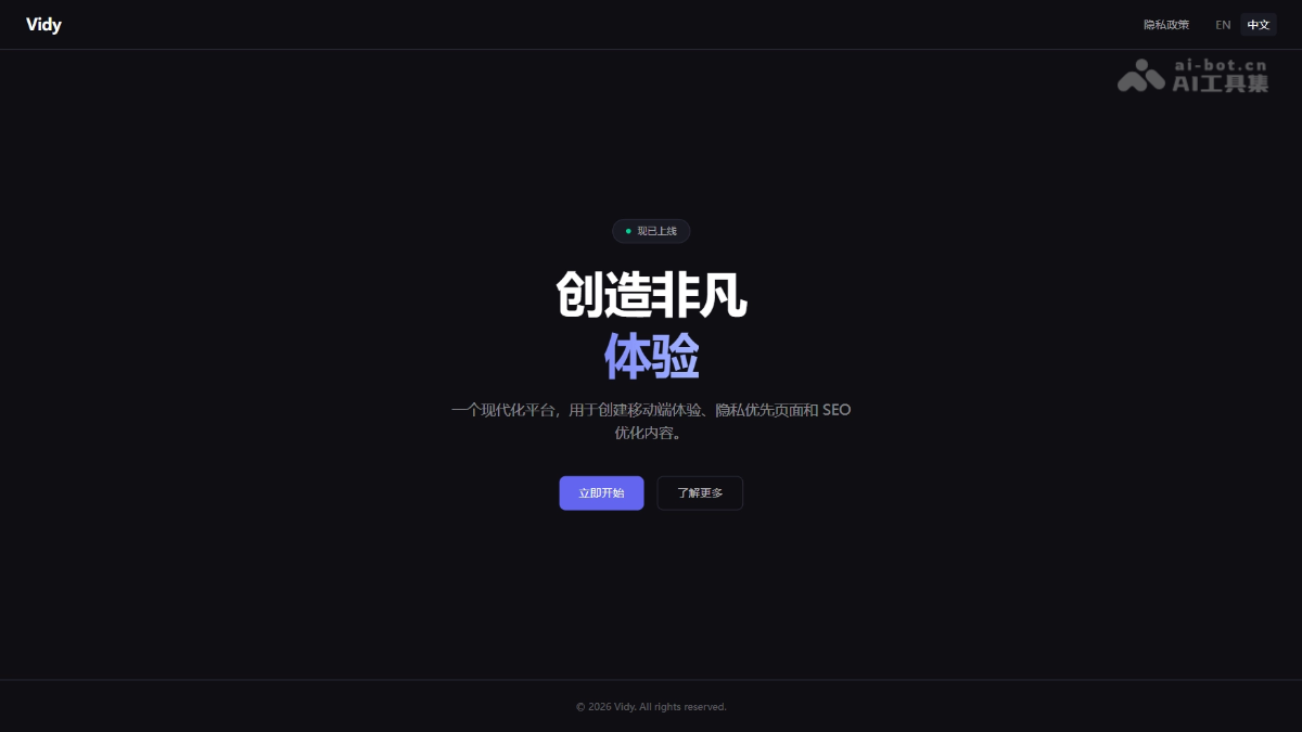 Vidy