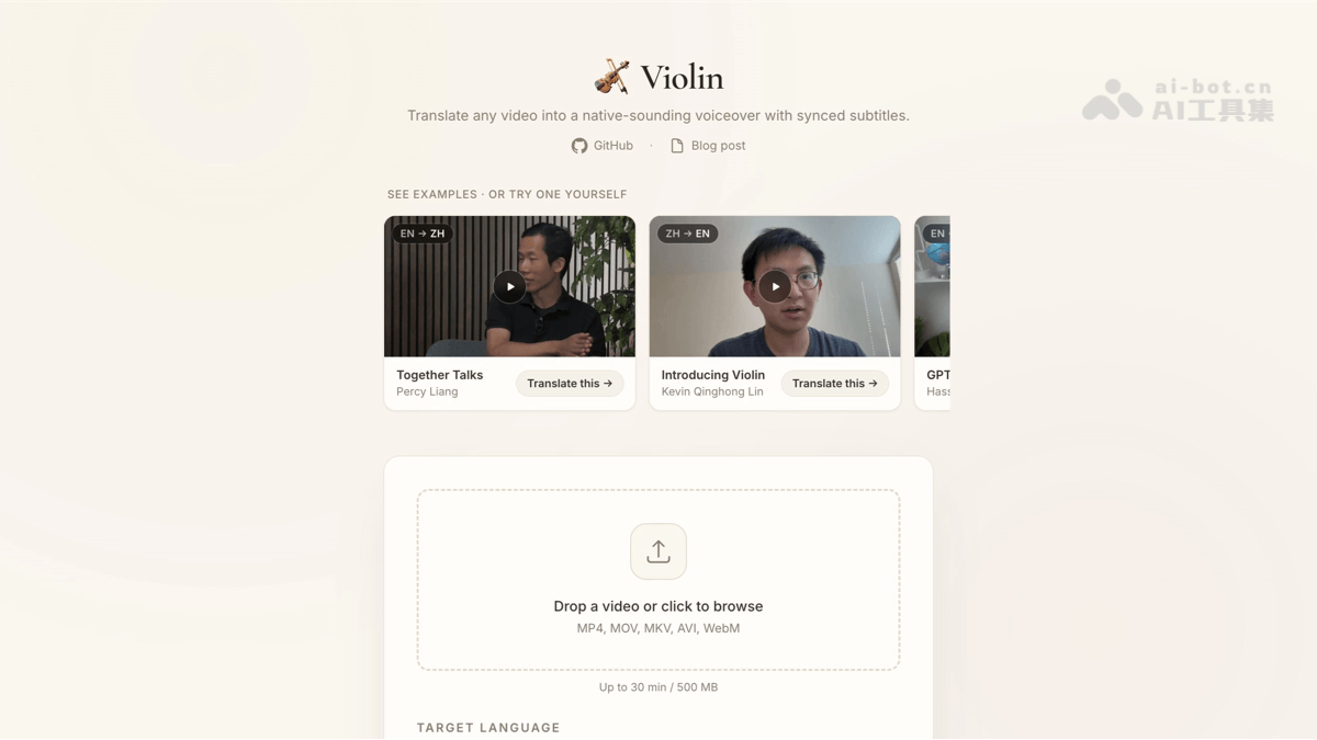 Violin