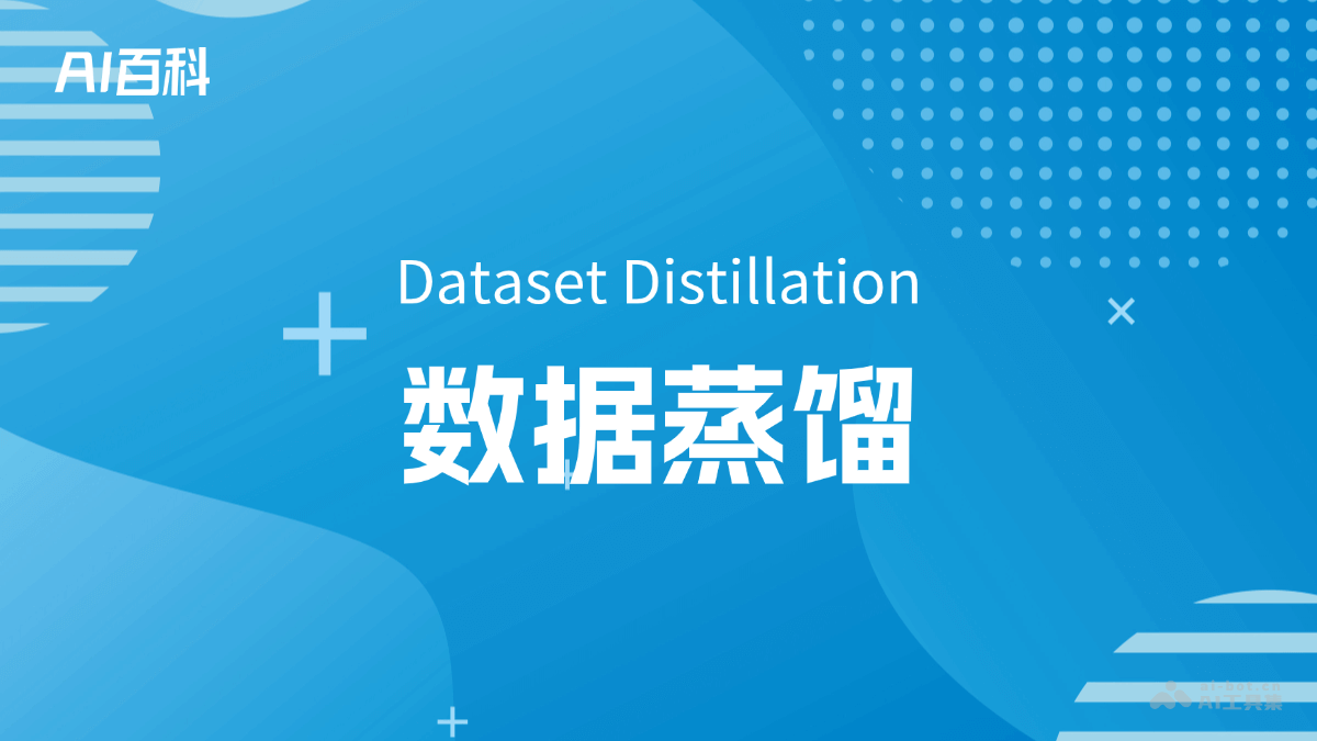 数据蒸馏