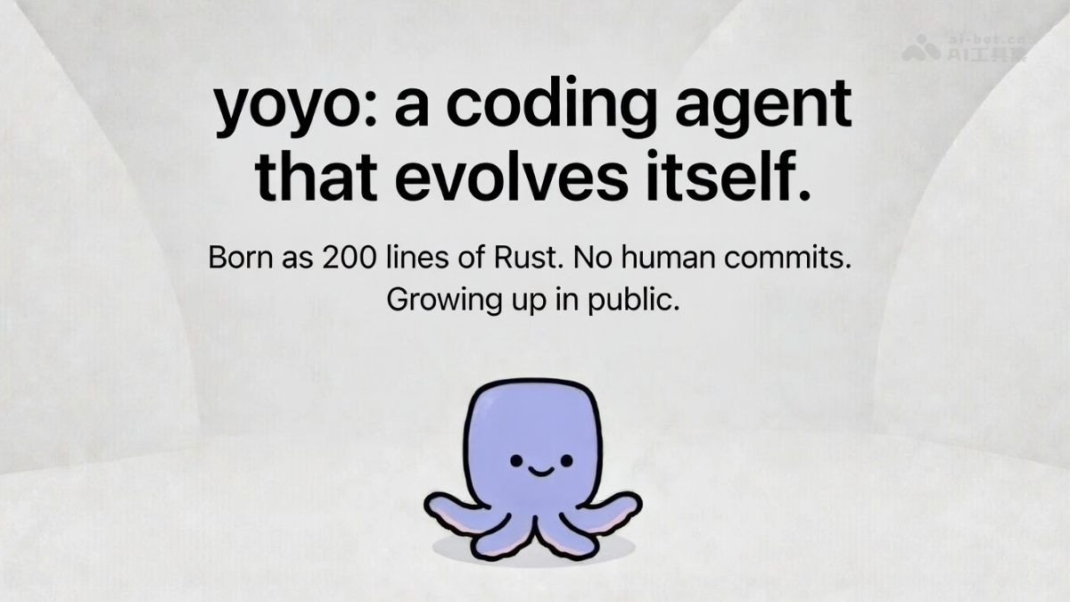 yoyo